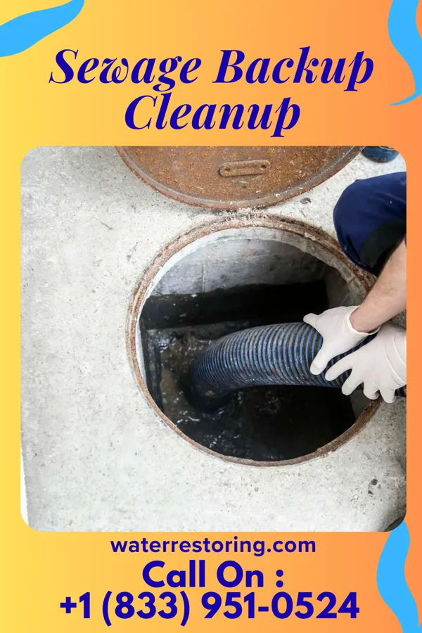 Sewage Backup Cleanup in Duncombe, IA